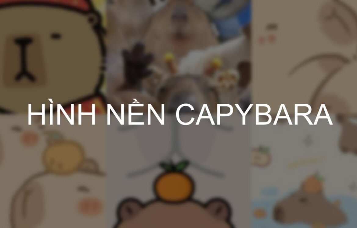 999+ Hình nền Capybara cute 4K, HD chất lượng sắc nét cho điện thoại, máy tính, PC Tải & download