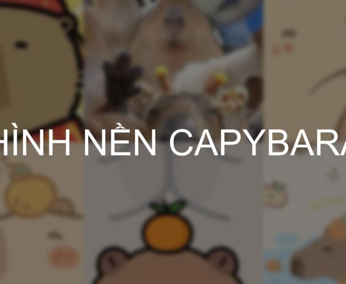 999+ Hình nền Capybara cute 4K, HD chất lượng sắc nét cho điện thoại, máy tính, PC Tải & download