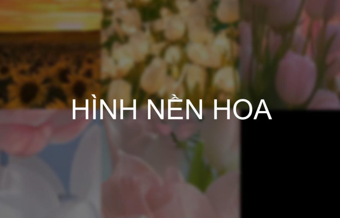 Download ngay 550+ hình nền hoa đẹp, chill khó cưỡng